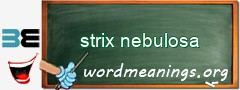 WordMeaning blackboard for strix nebulosa